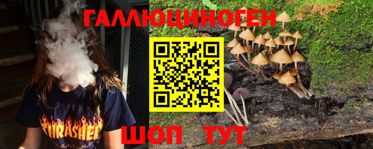 Псилоцибиновые грибы Psilocybine cubensis  купить   Галлюциногенные грибы ЛСД  Энгельс  Вход с VPN 